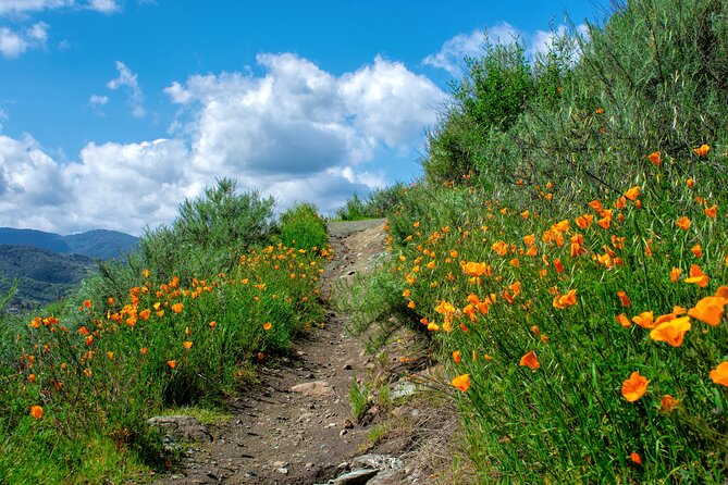 Private Malibu Waterfall Hike & Pacific Coast Drive - Who this private Malibu hike is best for