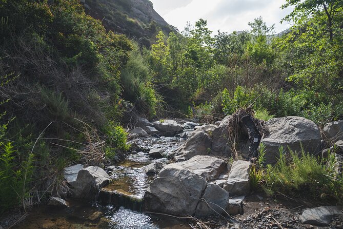 Private Malibu Waterfall Hike & Pacific Coast Drive - Should you book this Malibu Waterfall Hike and Pacific Coast Drive?