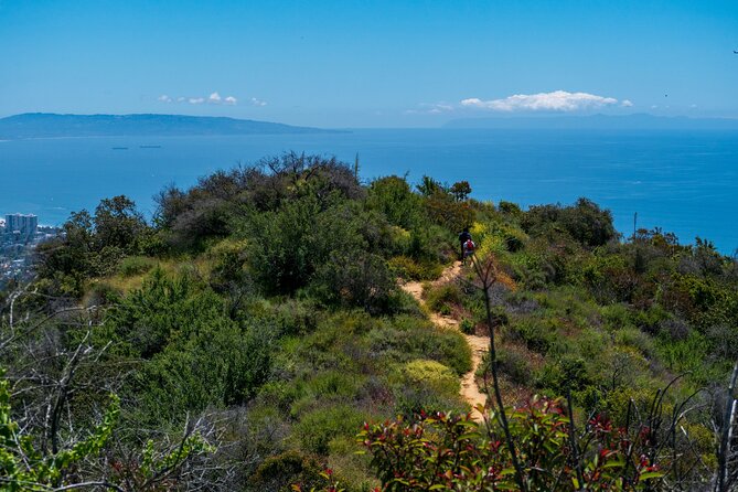 Private Malibu Waterfall Hike & Pacific Coast Drive - Stops, photos, and the guide who keeps things moving