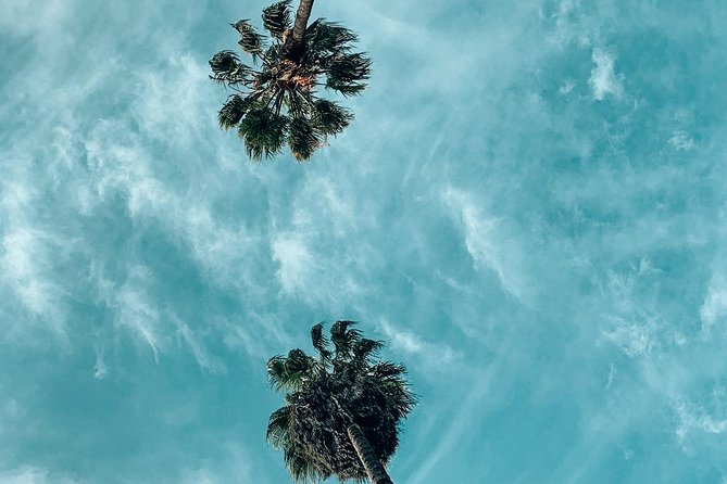 Private Photo Tour of the Best Instagram Spots in Los Angeles - Picking Your Neighborhood Route Shapes Everything