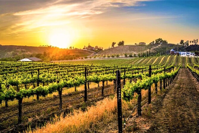 Private Temecula Excursion from Anaheim, Irvine, Newport Beach - Entering Temecula With a Chauffeur, Not a Calendar App