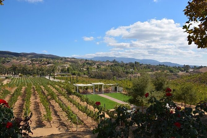 Private Temecula Excursion from Anaheim, Irvine, Newport Beach - A Few Practical Considerations Before You Book