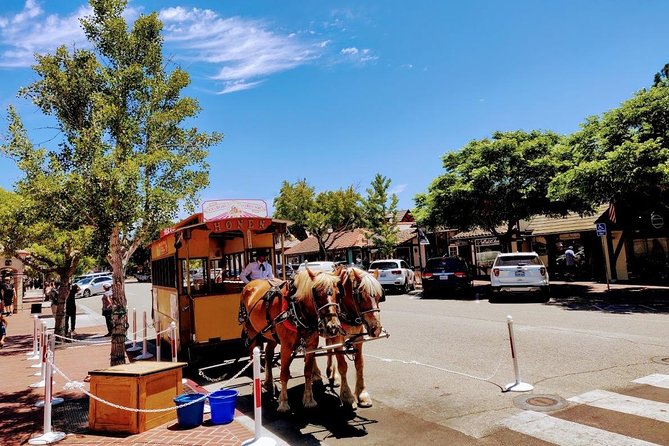 Santa Barbara Wine Tasting Day Tour from Los Angeles - Los Olivos for Lunch and Optional Extra Tastings