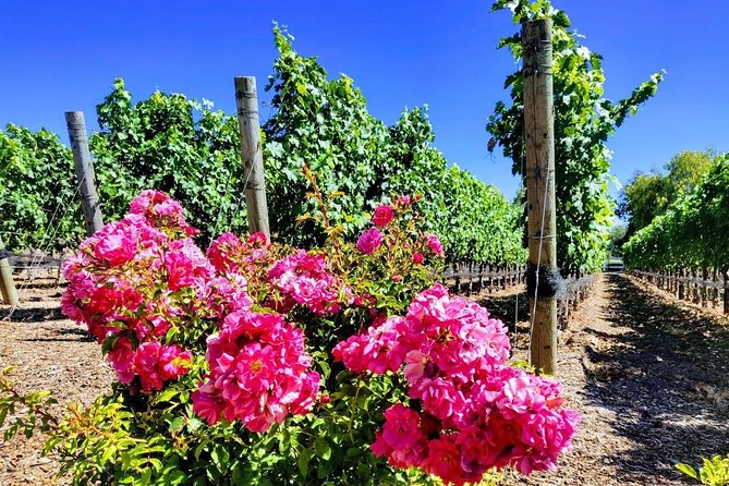 Santa Barbara Wine Tasting Day Tour from Los Angeles - Price and Value: Why $419 Can Feel Fair or Frustrating