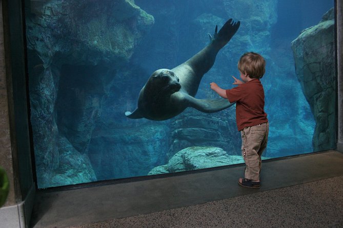 Skip the Ticketing Line: Aquarium of the Pacific General Admission Ticket - Penguins plus interactive viewing: short and sweet wins
