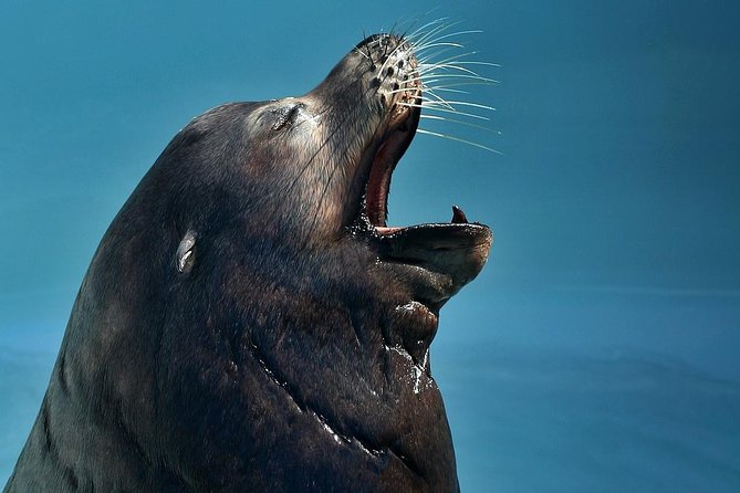 Skip the Ticketing Line: Aquarium of the Pacific General Admission Ticket - Touch tanks and hands-on learning with supervision