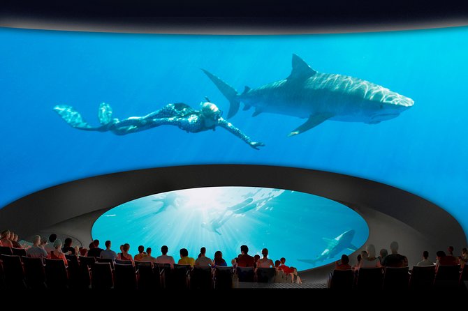 Skip the Ticketing Line: Aquarium of the Pacific General Admission Ticket - 4D movie and Pacific Visions: included indoor time that helps the whole group