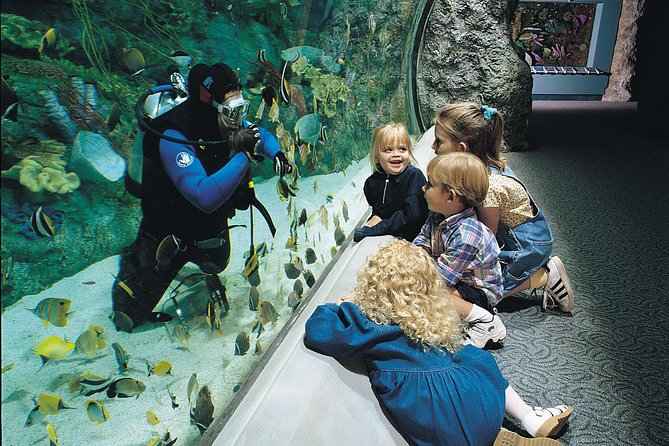 Skip the Ticketing Line: Aquarium of the Pacific General Admission Ticket - Aquarium of the Pacific galleries: 19 habitats across the Pacific Ocean