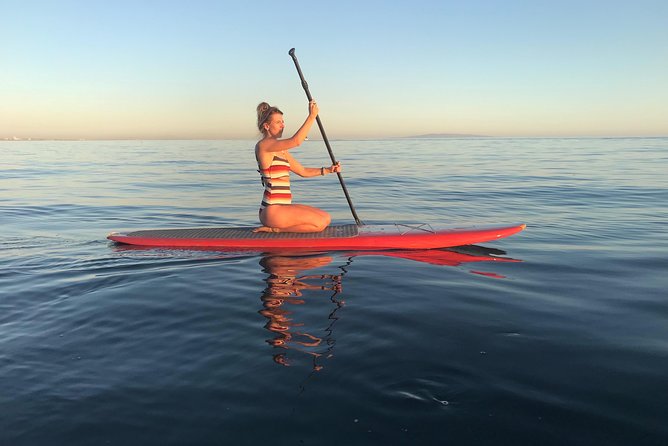 Stand up Paddle Board in Malibu - Key highlights worth knowing