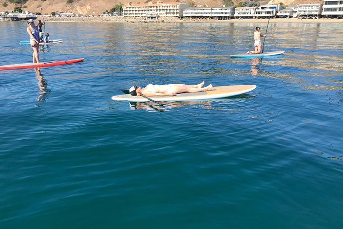 Stand up Paddle Board in Malibu - Paddling up Malibu’s coast: views plus the fun factor of wildlife