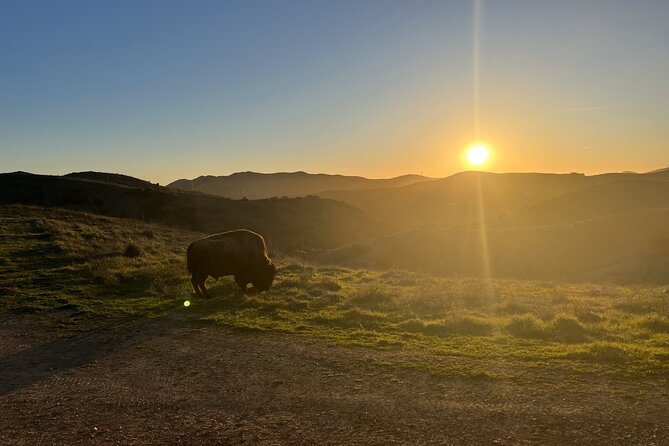 Summit Sunset Tour - Catalina Island Conservancy: The 1,500-Foot Sunset Moment
