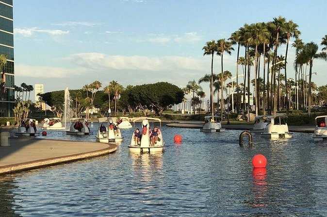 Swan Boat Rental at Rainbow Lagoon in Long Beach - Safety on the lagoon, what to expect from the staff