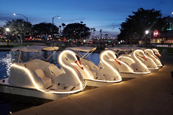 Swan Boat Rental at Rainbow Lagoon in Long Beach - Value check, does $13 buy a good experience?