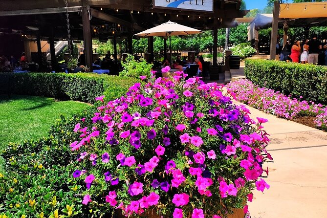 Temecula Wine Tour from Los Angeles - Key highlights you will feel on the day