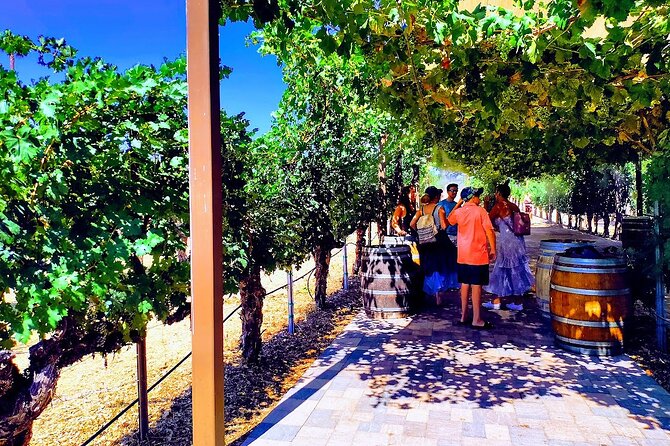 Temecula Wine Tour from Los Angeles - Stop 1 Temecula: short intro time you should treat like orientation