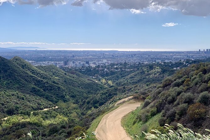 The Premier Hollywood Sign Tour: Nature in the Heart of the City - Four ecosystems you can feel under your feet