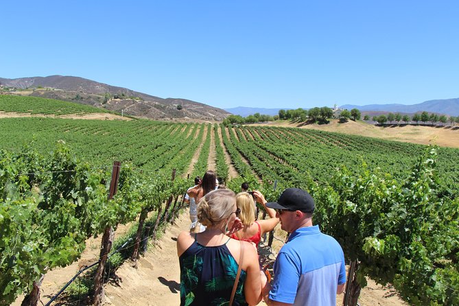 The Shared Temecula Wine Tour from Anaheim - Somerset Vineyard and Winery: Your First Real Tasting Stop