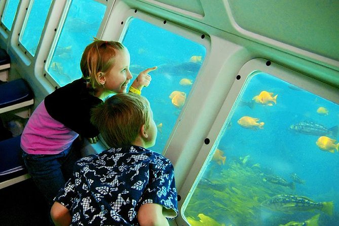 Undersea Expedition: Catalina Island Tour - Avalon’s Green Pleasure Pier, and That 45-Minute Undersea Promise
