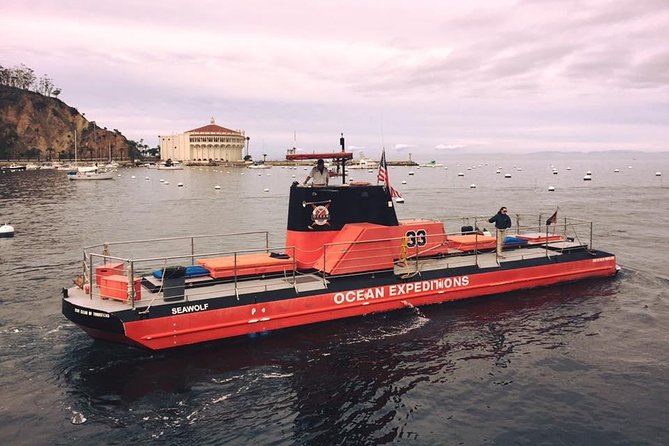 Undersea Expedition: Catalina Island Tour - Timing and Departure Choices from Gate C, Plus Small-Group Perks