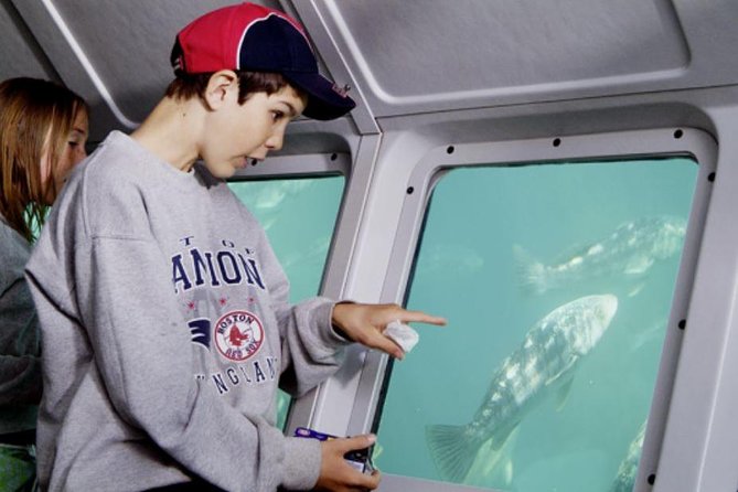 Undersea Expedition: Catalina Island Tour - The Semi-Sub Vessel Setup: Your Seat, Porthole Views, and Cabin Walk-About