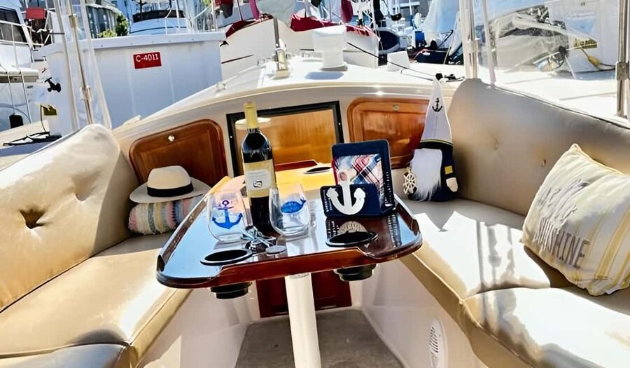 Venice Beach & Malibu View Boat Cruiser- Music Wine Sealions - Who should book this cruise, and who should skip it
