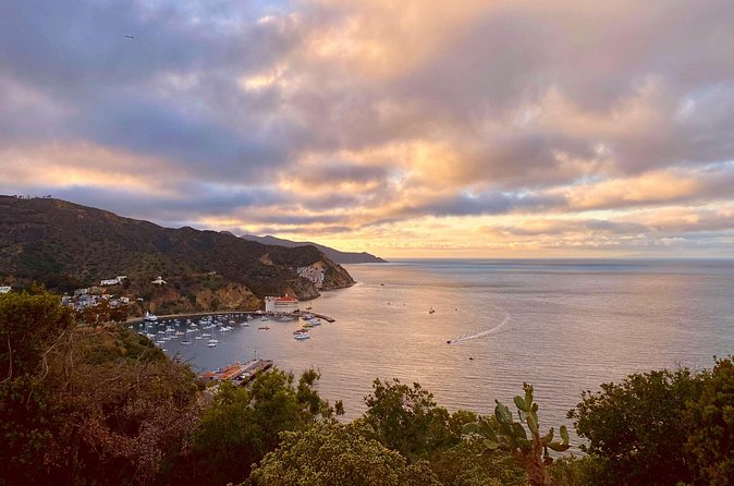 Walking History Tour on Catalina Island - The names behind the island: Shatto, the Banning Brothers, and Wrigley