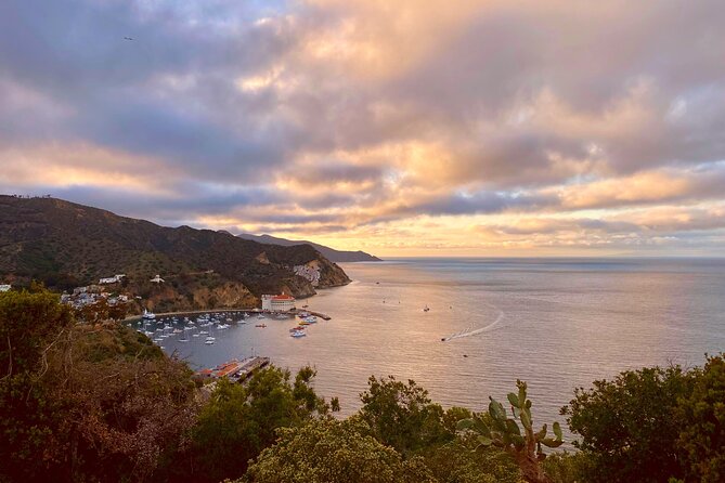 Walking History Tour on Catalina Island - Getting the pacing right: small groups and flat walking you can handle