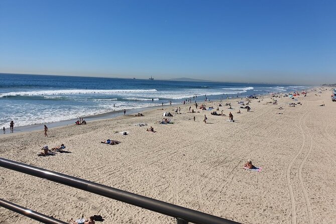 Whale-Watching and Orange County Beaches Tour from Anaheim - Price and value: what $99 buys you in real terms