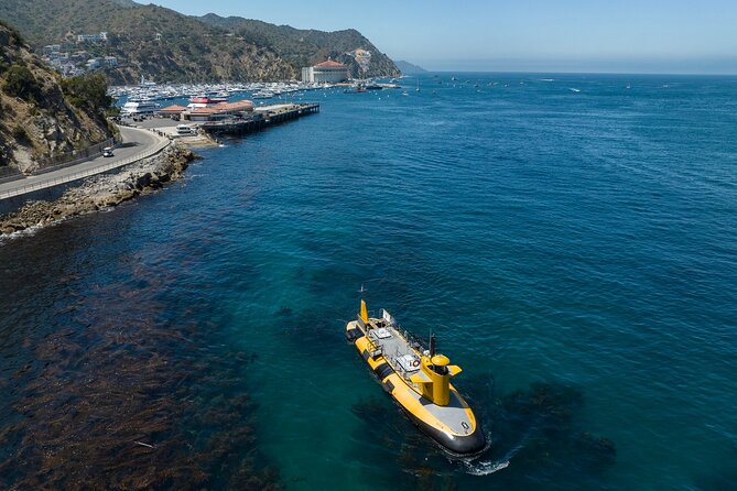 Yellow Semi-Submarine Tour of Catalina Island From Avalon - The Avalon to Lovers’ Cove vibe: why this tour feels special