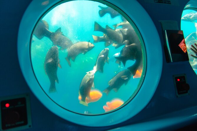 Yellow Semi-Submarine Tour of Catalina Island From Avalon - Getting on the SS Nautilus: timing, seats, and check-in