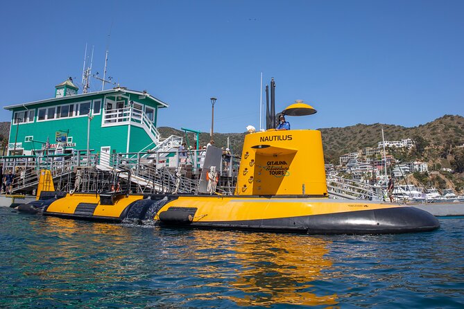 Yellow Semi-Submarine Tour of Catalina Island From Avalon - The return to Avalon on the top deck: harbor views without the stress