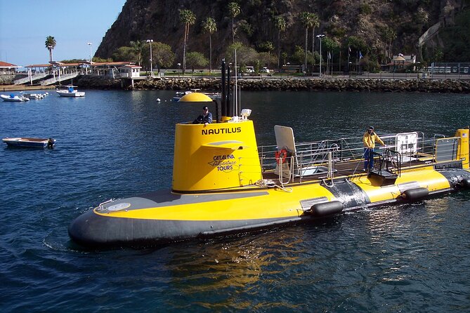 Yellow Semi-Submarine Tour of Catalina Island From Avalon - Price and value at $53: what you get, what costs extra