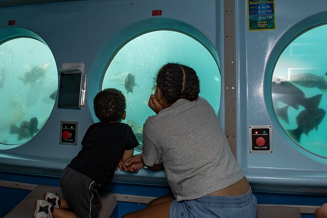 Yellow Semi-Submarine Tour of Catalina Island From Avalon - Should you book this Yellow Semi-Submarine from Avalon?