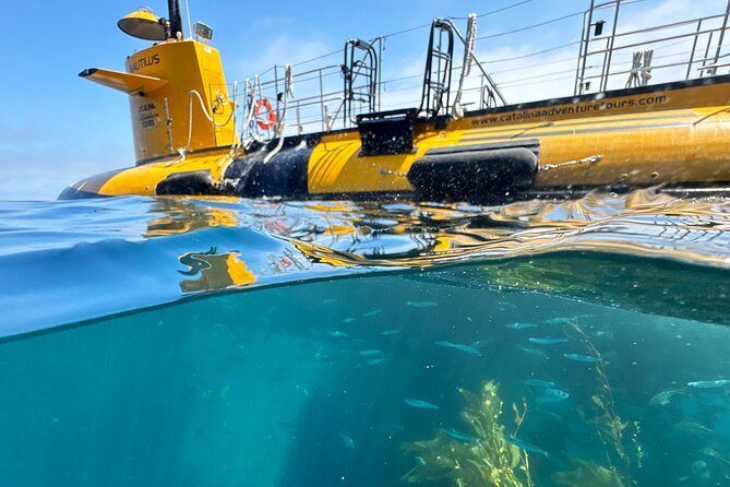 Yellow Semi-Submarine Tour of Catalina Island From Avalon - The torpedo-button fish feeding: the fun add-on (and the cash reality)