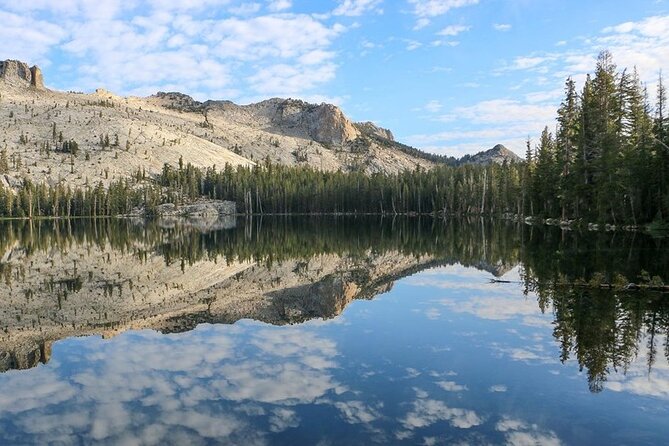 Yosemite and Kings Canyon National Park 2 Day Tour from LA - Key Highlights You’ll Feel Right Away
