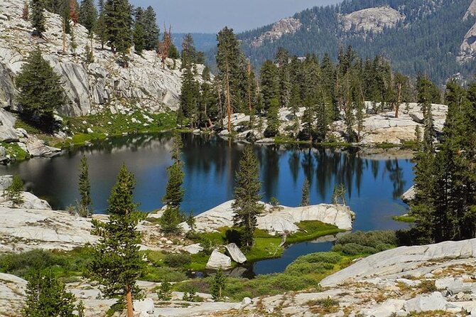Yosemite and Kings Canyon National Park 2 Day Tour from LA - Day 1: Kings Canyon Entry, Deep Valleys, and the Long Drive Out of LA
